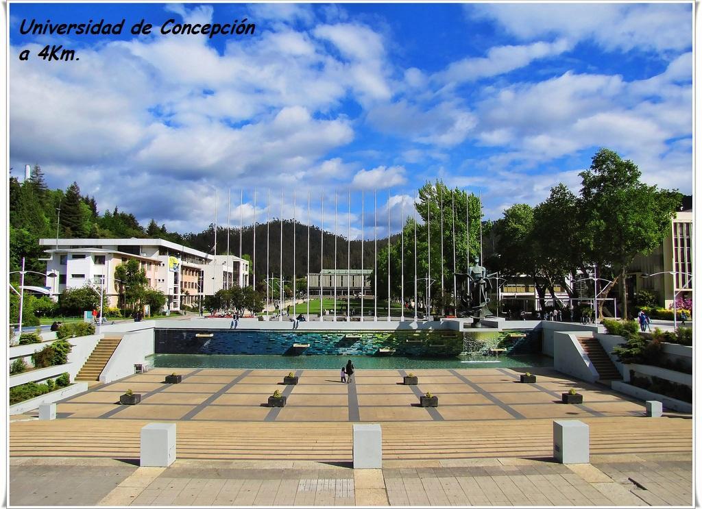 Casa San Valentin Otel Concepción Dış mekan fotoğraf